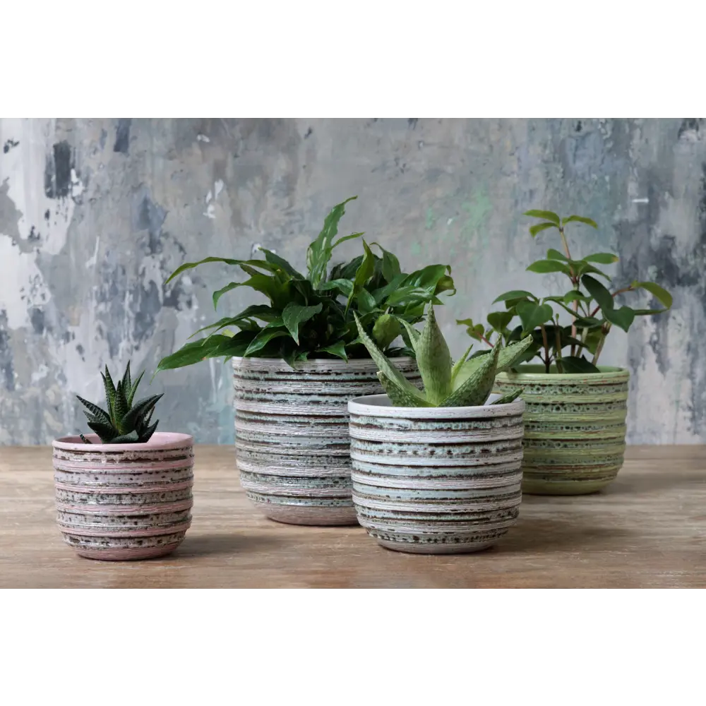 Фото Горшок цветочный Кукушка Композит d 18.7 см 15.6 см 2.9 л глина белый Фото Горшок цветочный Кукушка Композит d 18.7 см 15.6 см 2.9 л глина белый