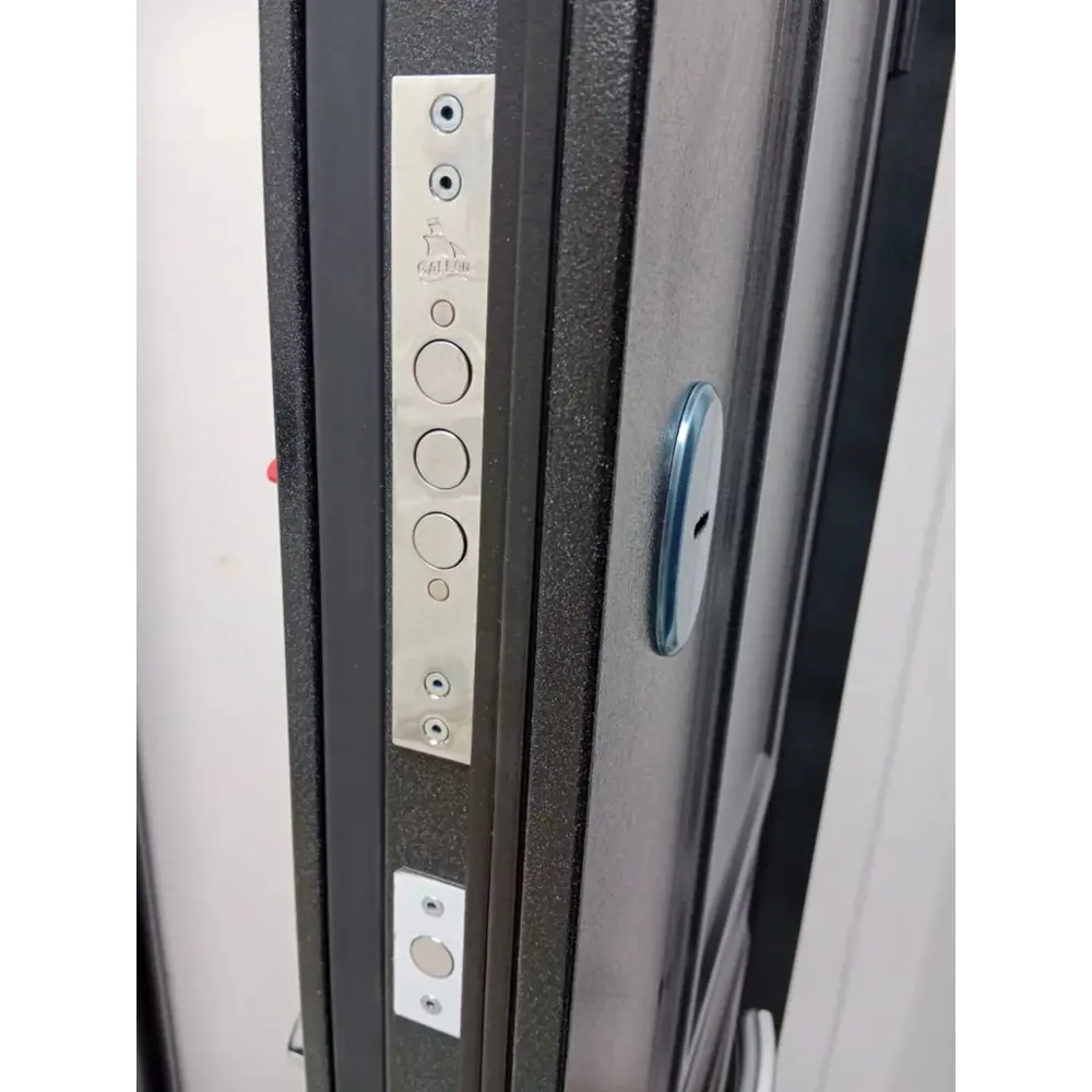 Фото 10 Входная дверь Buldoors Buldoors Termo левый 205x86см цвет букле черный штамп/орех грецкий Фото 10 Входная дверь Buldoors Buldoors Termo левый 205x86см цвет букле черный штамп/орех грецкий