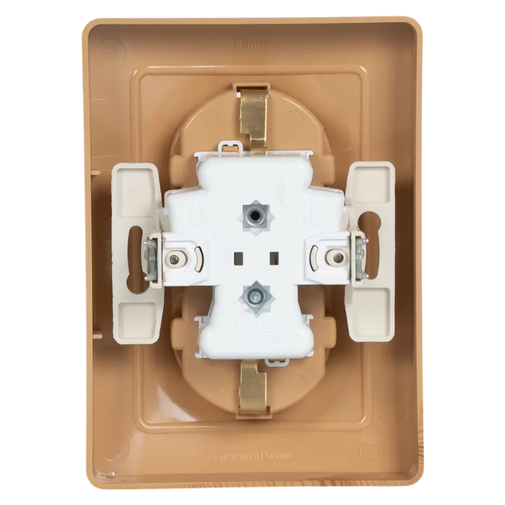 Фото 4 Розетка двойная встраиваемая Systeme Electric Blanca с заземлением со шторками цвет ясень Фото 4 Розетка двойная встраиваемая Systeme Electric Blanca с заземлением со шторками цвет ясень