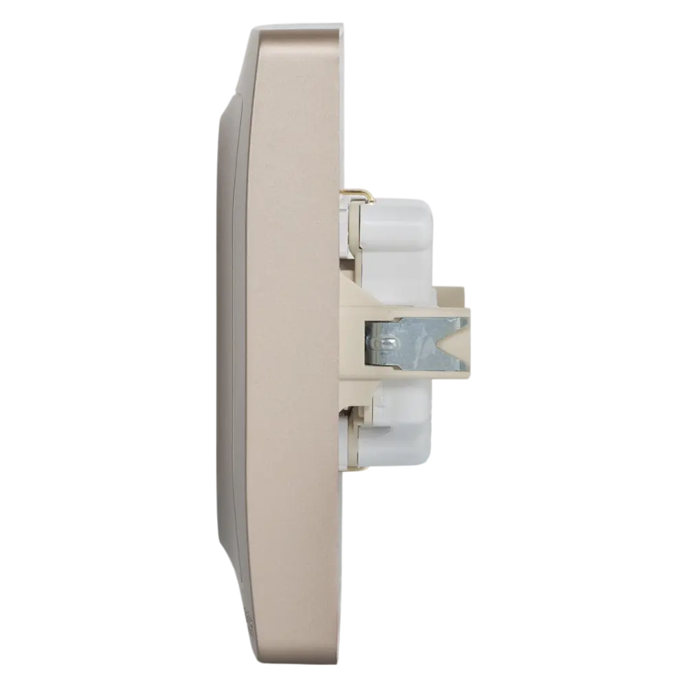 Фото 4 Розетка двойная встраиваемая Systeme Electric Blanca с заземлением со шторками цвет титан