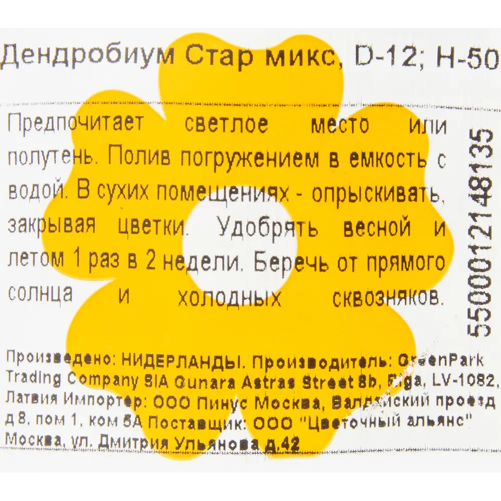 Фото 3 Орхидея Дендробиум Стар микс 1 стебель ø12 h50 см Фото 3 Орхидея Дендробиум Стар микс 1 стебель ø12 h50 см