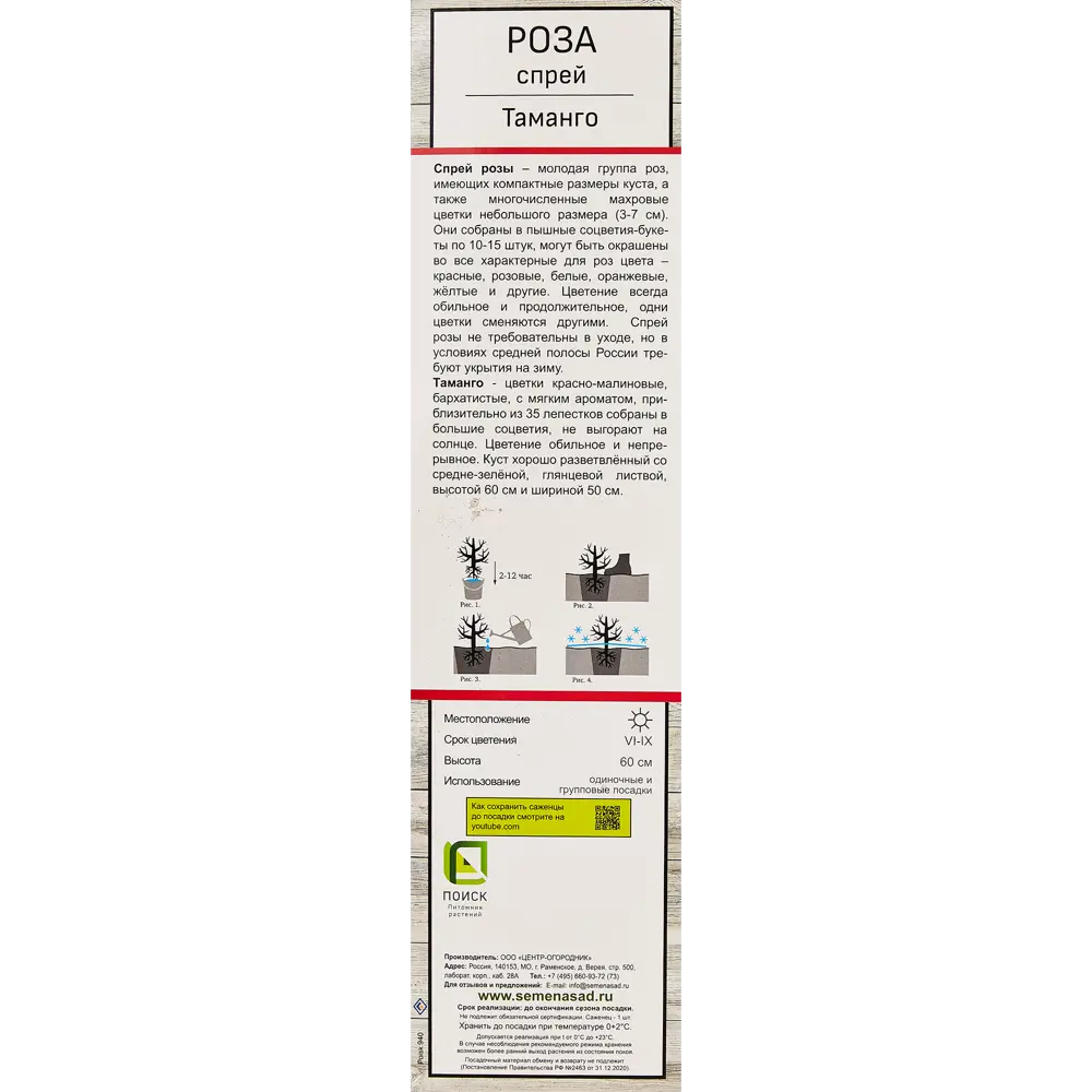 Фото 2 Роза спрей Таманго ø5 h35 см Фото 2 Роза спрей Таманго ø5 h35 см
