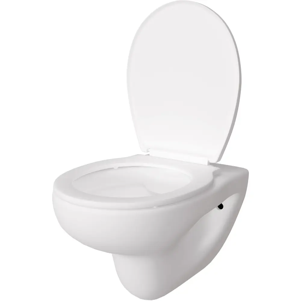 Фото 9 Инсталляция AM.PM I012711.0151 ErgoFit с клавишей слива ErgoFit L пластик гл/хром Alentori FLUIRE 901 унитаз микролифт глянцевый белый Фото 9 Инсталляция AM.PM I012711.0151 ErgoFit с клавишей слива ErgoFit L пластик гл/хром Alentori FLUIRE 901 унитаз микролифт глянцевый белый