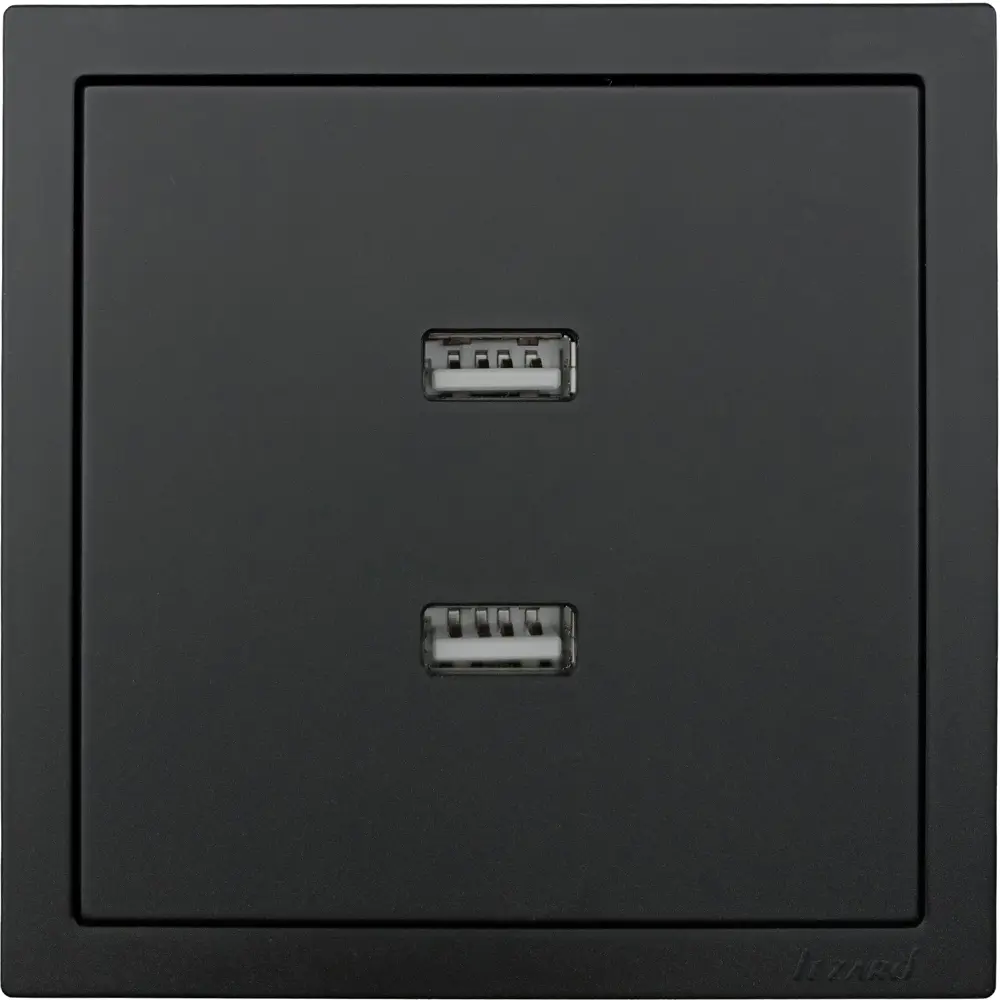 Фото 3 Розетка двойная USB встраиваемая Lezard Zima без заземления цвет черный бархат Фото 3 Розетка двойная USB встраиваемая Lezard Zima без заземления цвет черный бархат