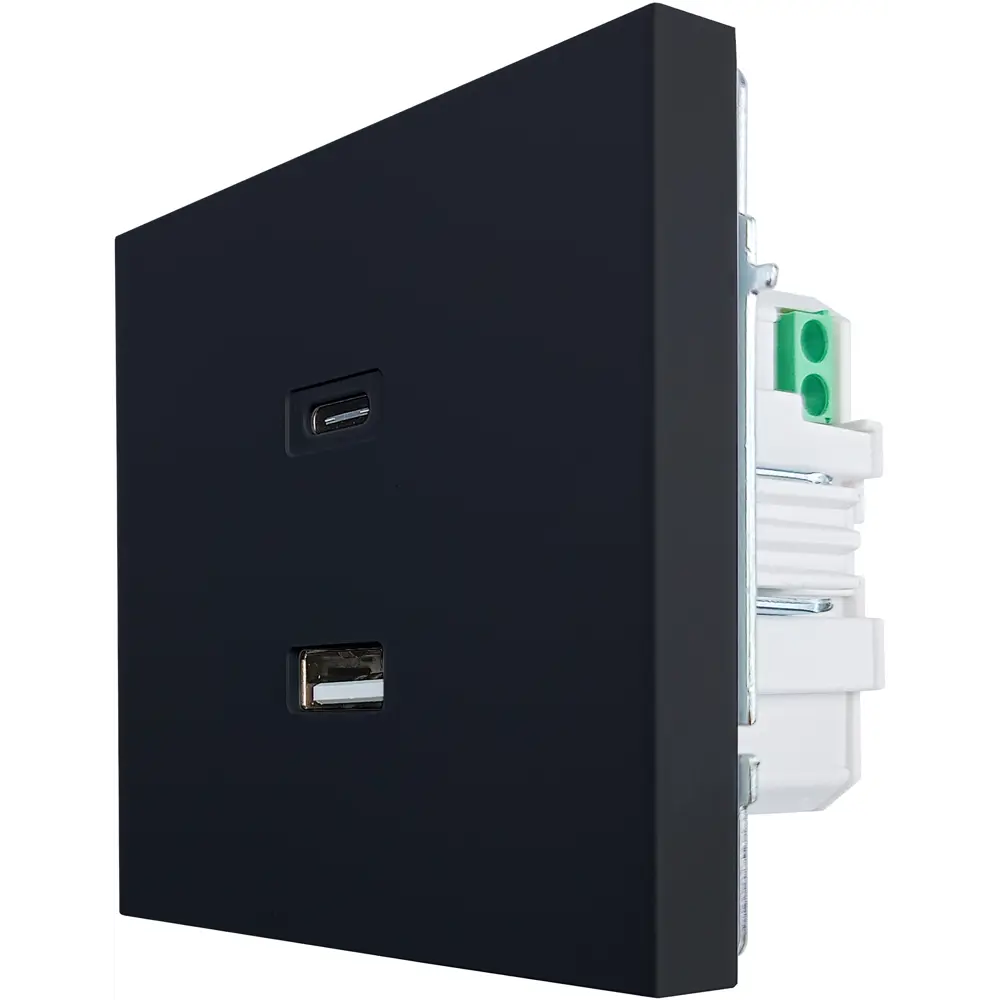 Фото 2 Розетка TC и USB встраиваемая Lezard Zima без заземления цвет черный бархат Фото 2 Розетка TC и USB встраиваемая Lezard Zima без заземления цвет черный бархат