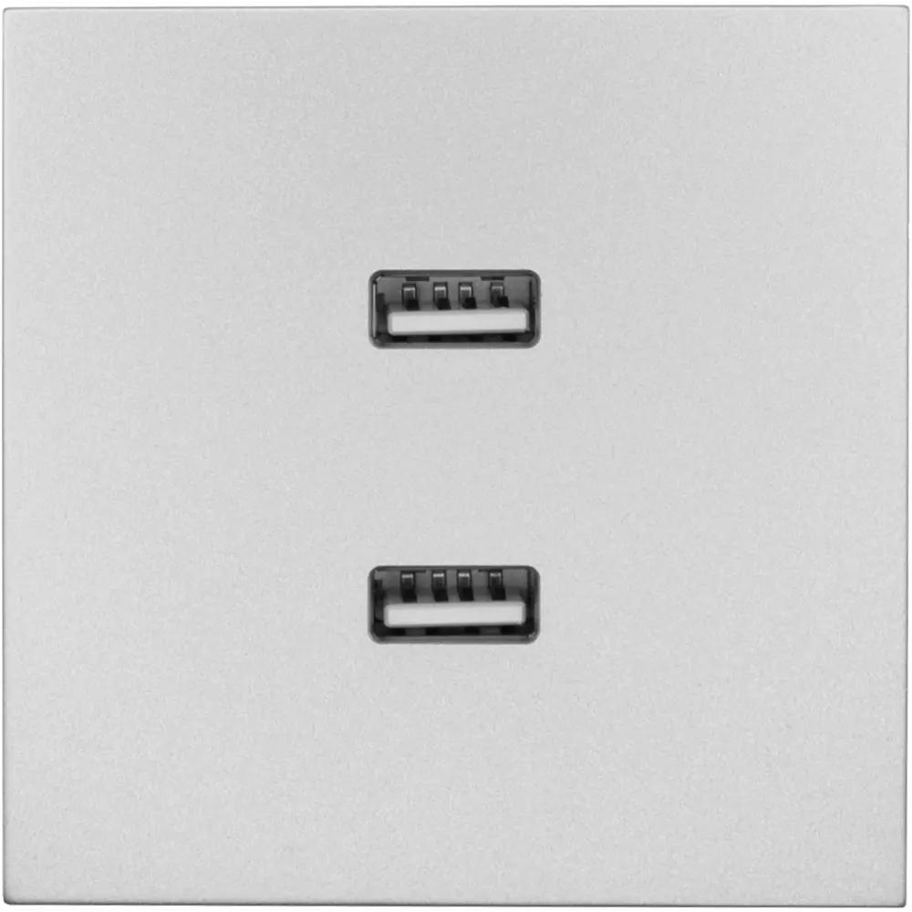Фото Розетка двойная USB встраиваемая Lezard Zima без заземления цвет серый матовый Фото Розетка двойная USB встраиваемая Lezard Zima без заземления цвет серый матовый