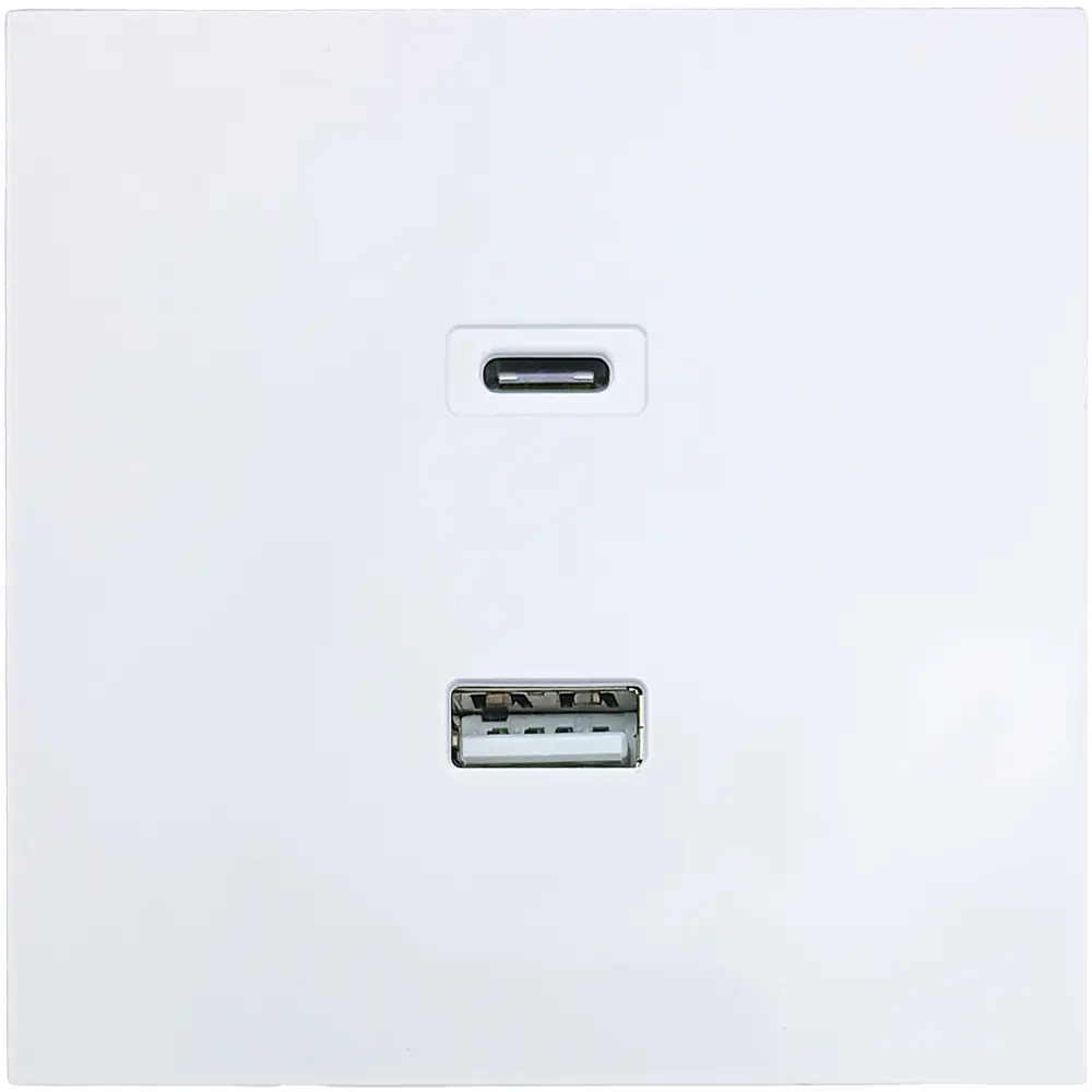 Фото Розетка TC и USB встраиваемая Lezard Zima без заземления цвет белый Фото Розетка TC и USB встраиваемая Lezard Zima без заземления цвет белый