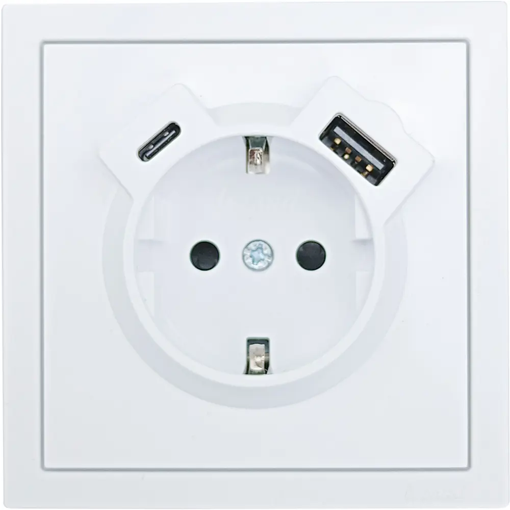 Фото 3 Розетка TC и USB встраиваемая Lezard Zima с заземлением цвет белый Фото 3 Розетка TC и USB встраиваемая Lezard Zima с заземлением цвет белый