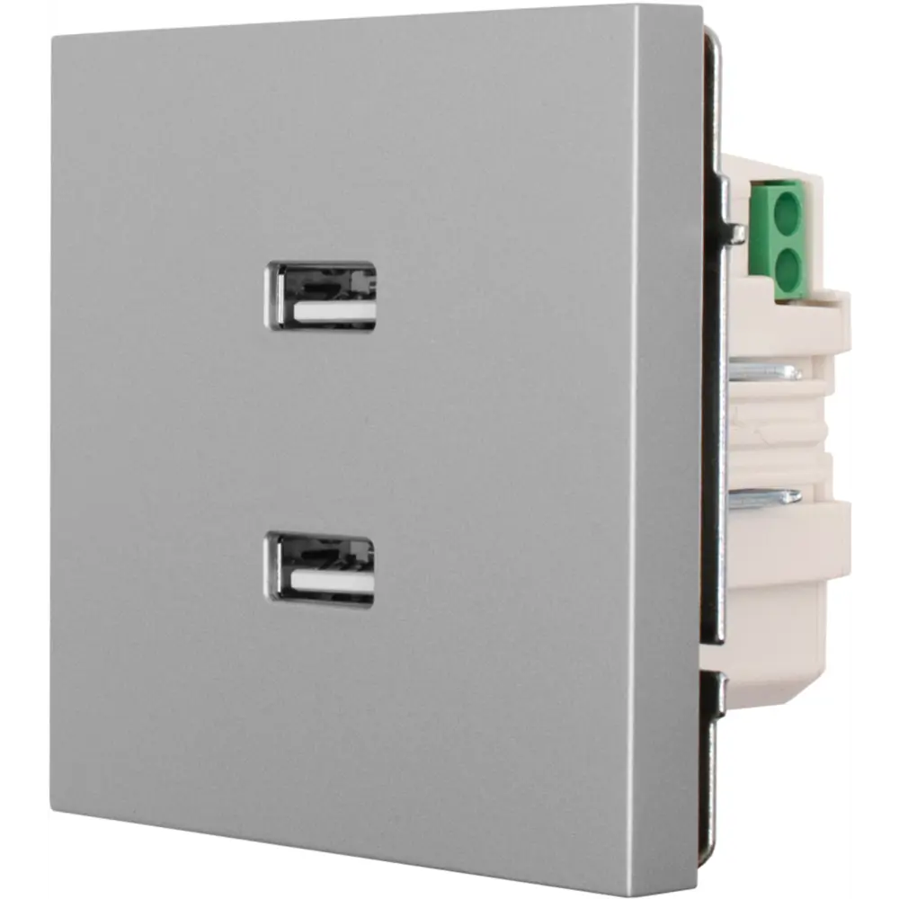 Фото 2 Розетка двойная USB встраиваемая Lezard Zima без заземления цвет серый матовый Фото 2 Розетка двойная USB встраиваемая Lezard Zima без заземления цвет серый матовый