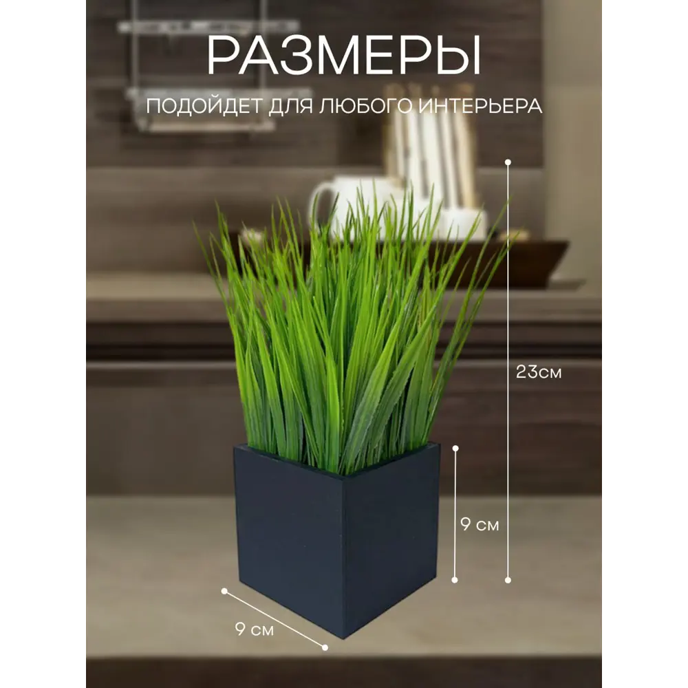 Фото 3 Осока в деревянном ящике Подар.Ок Home черный 9x9x9 см