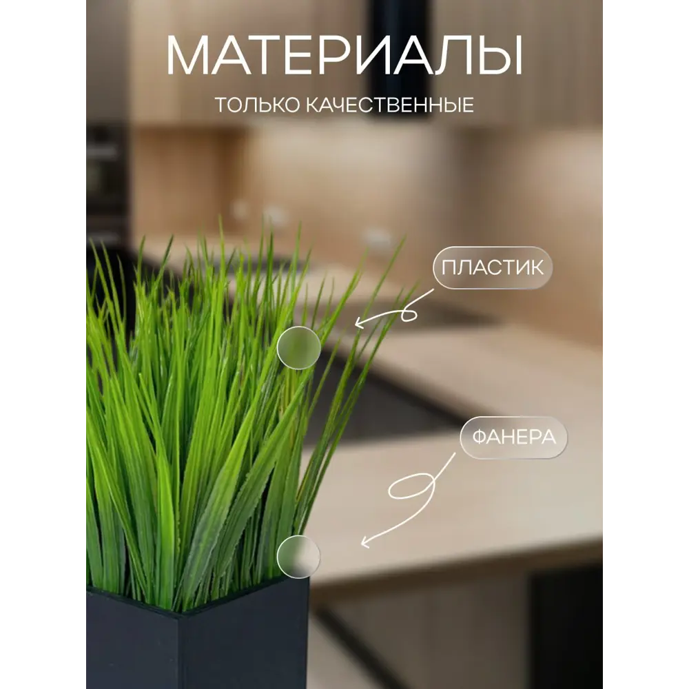 Фото 5 Осока в деревянном ящике Подар.Ок Home черный 9x9x9 см