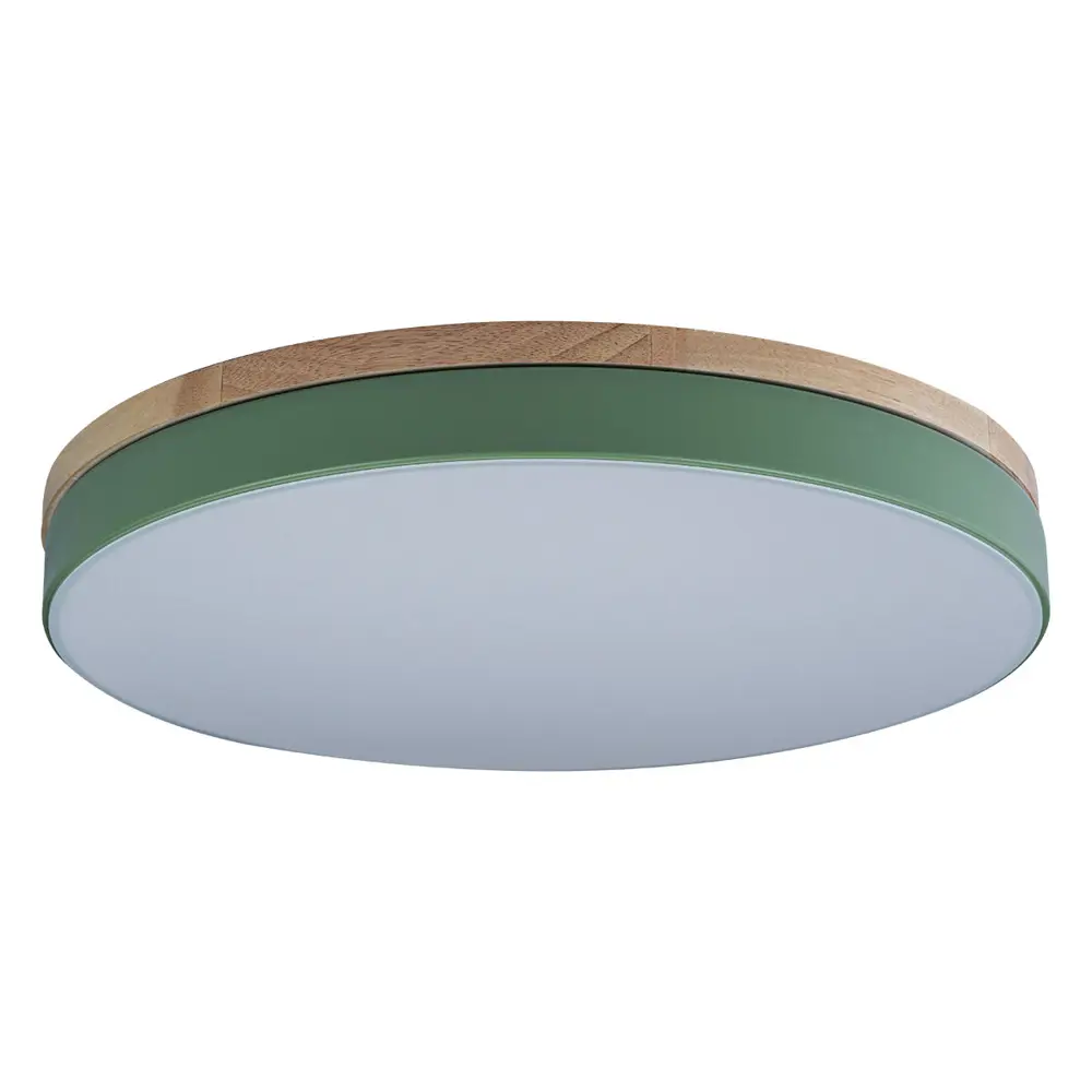 Фото 2 Светильник настенно-потолочный светодиодный Loft It LF_10001_36_Green Axel 7.8 м² нейтральный белый свет цвет зеленый Фото 2 Светильник настенно-потолочный светодиодный Loft It LF_10001_36_Green Axel 7.8 м² нейтральный белый свет цвет зеленый