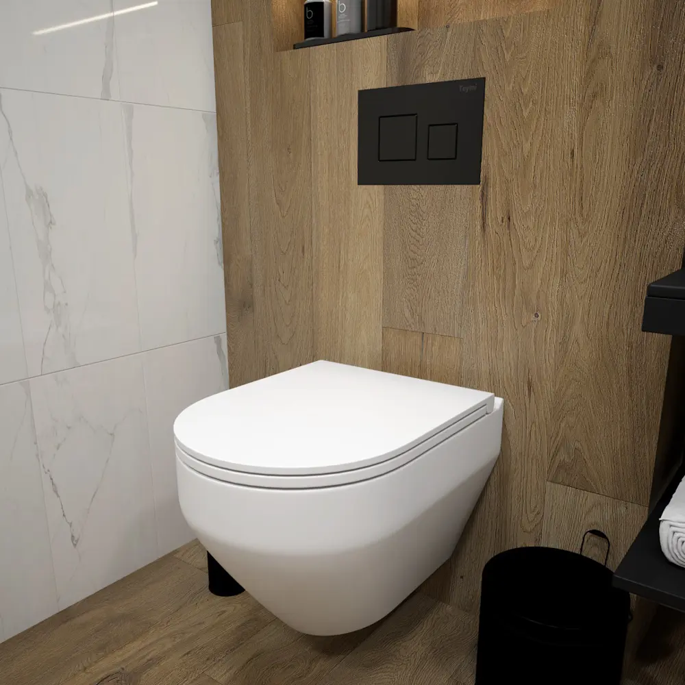 Фото 8 Комплект инсталляция с унитазом Teymi Demi f01384 цвет белый Фото 8 Комплект инсталляция с унитазом Teymi Demi f01384 цвет белый