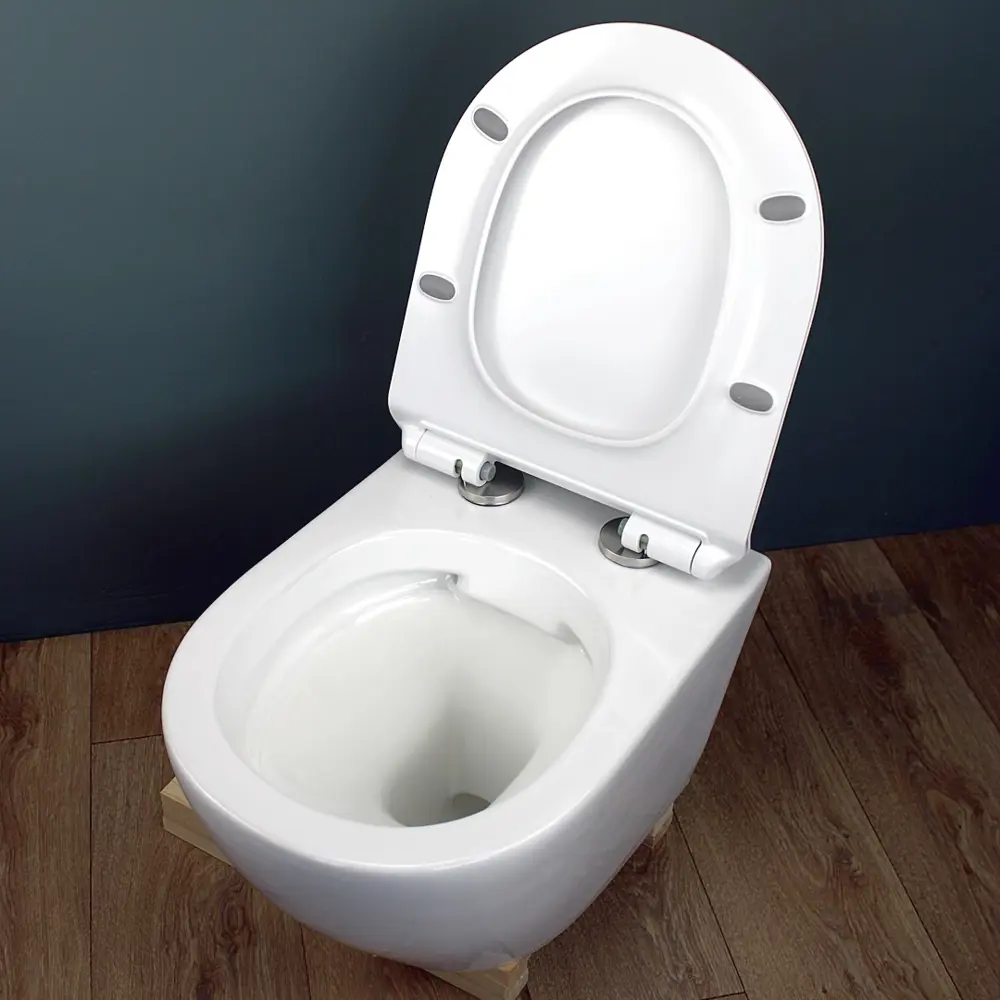 Фото 13 Комплект инсталляция с унитазом Teymi Lina pro f01429 цвет белый Фото 13 Комплект инсталляция с унитазом Teymi Lina pro f01429 цвет белый