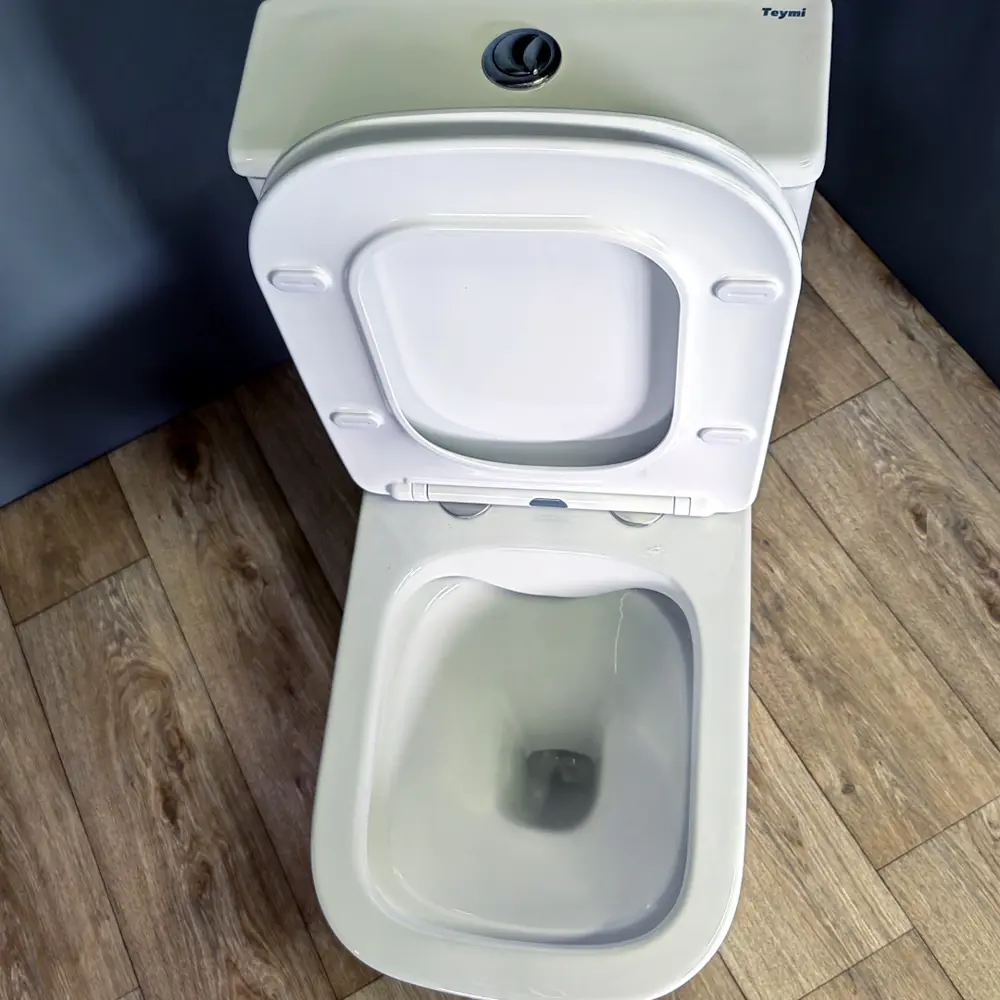 Фото 7 Комплект Teymi 2 в 1 Унитаз напольный Helmi Pro безободковый с гигиеническим душем Lina хром F10121