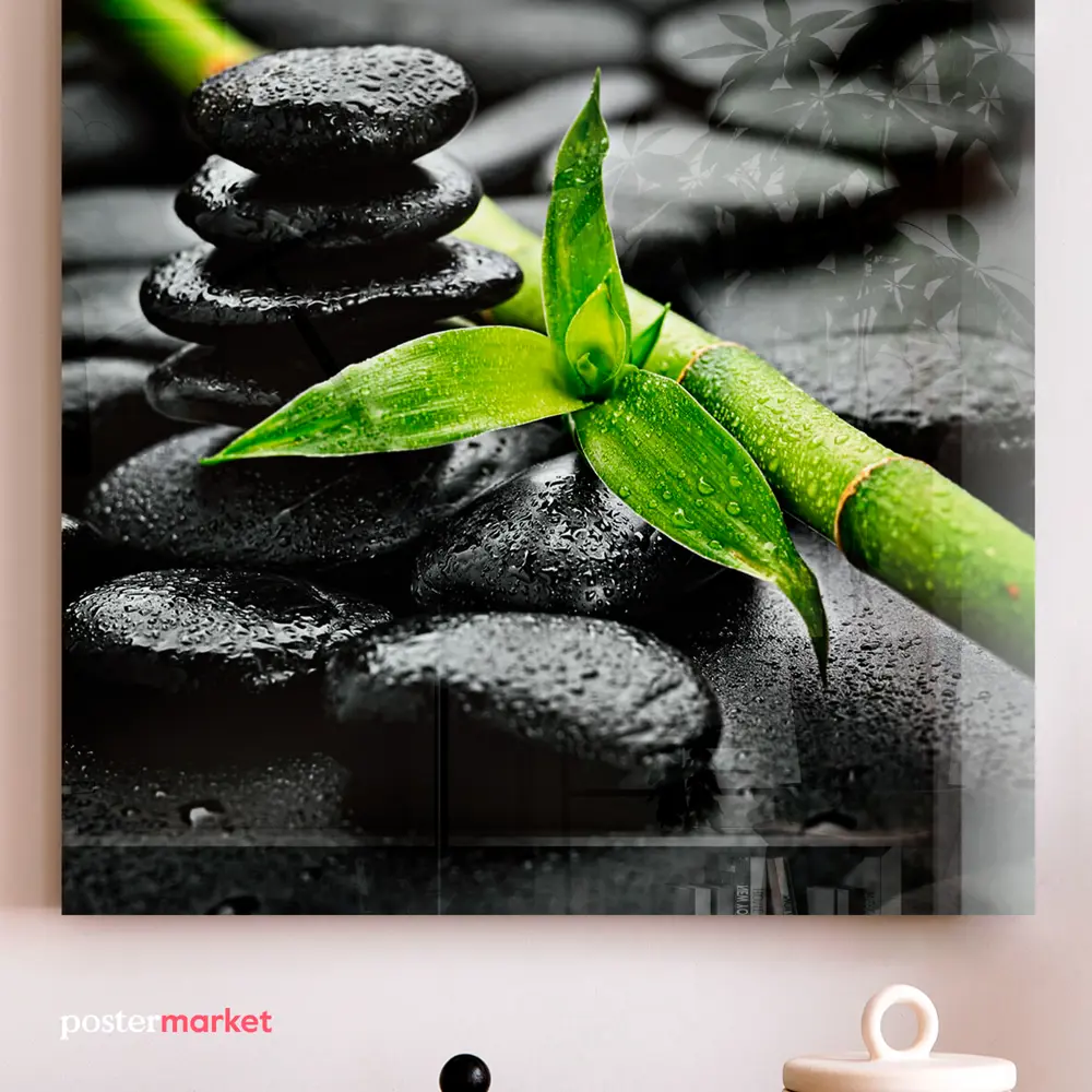 Фото 5 Картина без рамки Postermarket Стебель бамбука 30x30 см Фото 5 Картина без рамки Postermarket Стебель бамбука 30x30 см