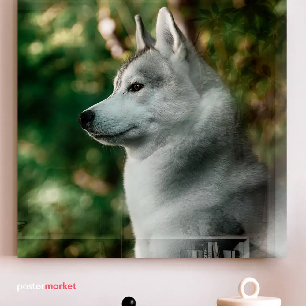 Фото 3 Картина без рамки Postermarket Волк 30x30 см