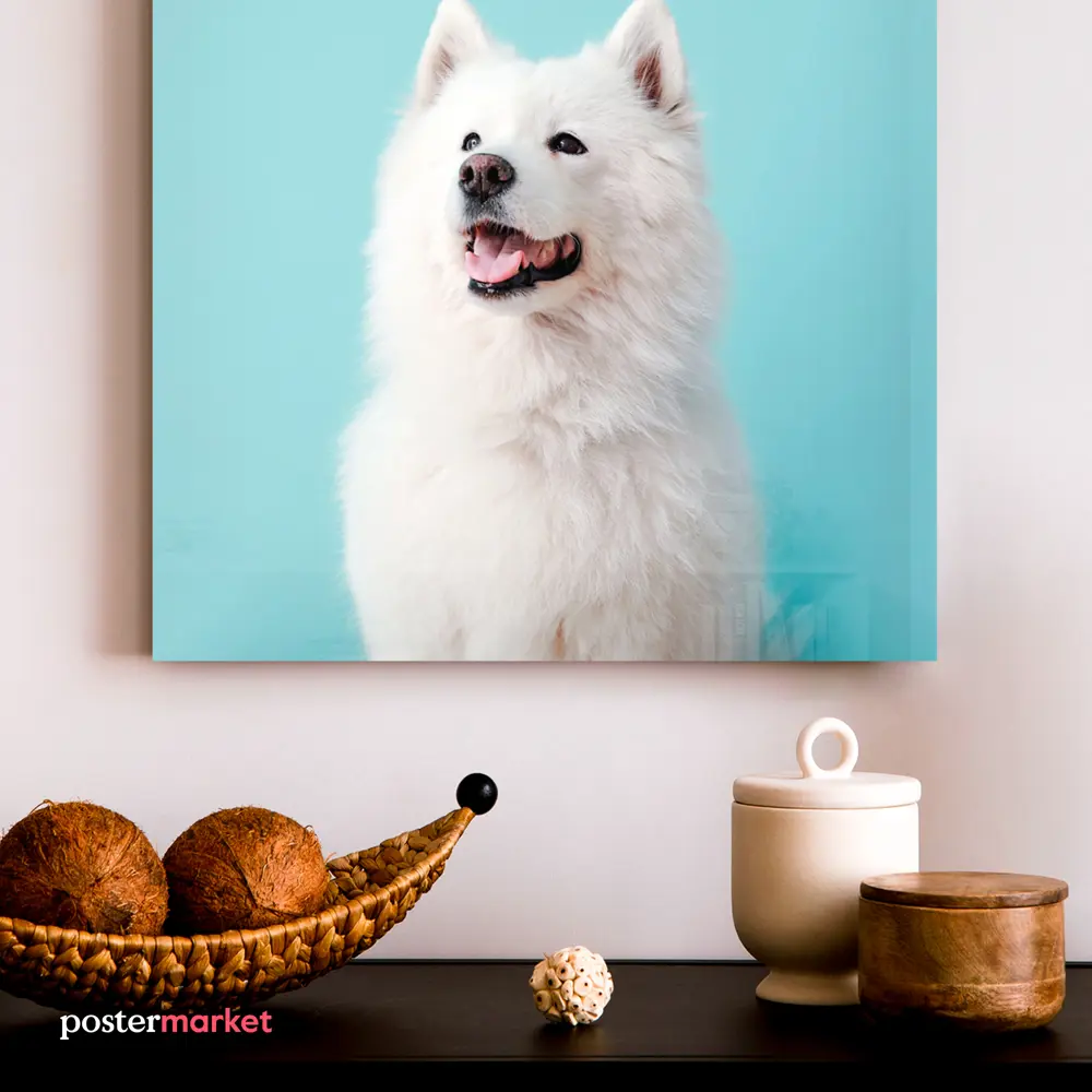 Фото 5 Картина без рамки Postermarket Самоед 30x30 см Фото 5 Картина без рамки Postermarket Самоед 30x30 см