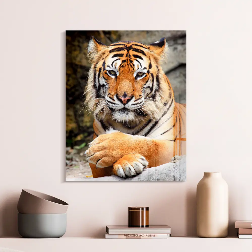 Фото Картина на стекле Postermarket Тигр 40x50 см Фото Картина на стекле Postermarket Тигр 40x50 см