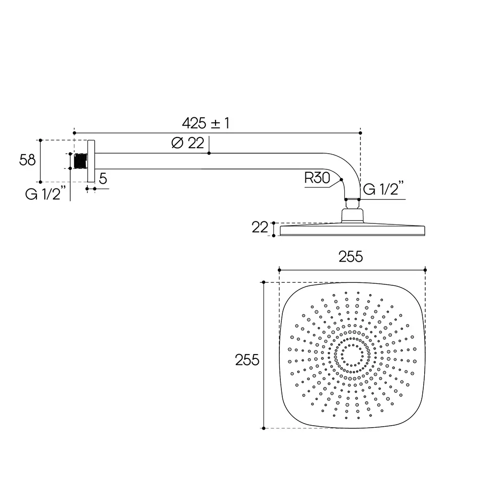 Фото 4 Лейка для верхнего душа Aqueduto Chuva AQDSCHU1050 c держателем цвет шлифованное золото