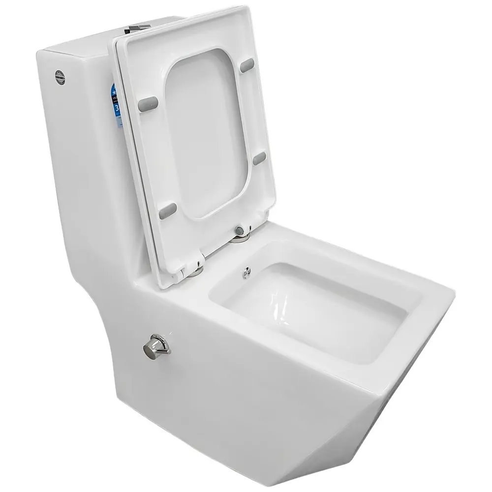 Фото 5 Унитаз-компакт Bloomix Berg 2071SB/UF2 Ceramic моноблок с функцией биде и смесителем Фото 5 Унитаз-компакт Bloomix Berg 2071SB/UF2 Ceramic моноблок с функцией биде и смесителем