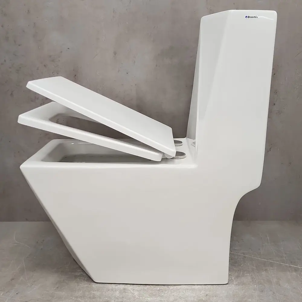 Фото 4 Унитаз-компакт Bloomix Berg 2071SB/UF2 Ceramic моноблок с функцией биде и смесителем Фото 4 Унитаз-компакт Bloomix Berg 2071SB/UF2 Ceramic моноблок с функцией биде и смесителем