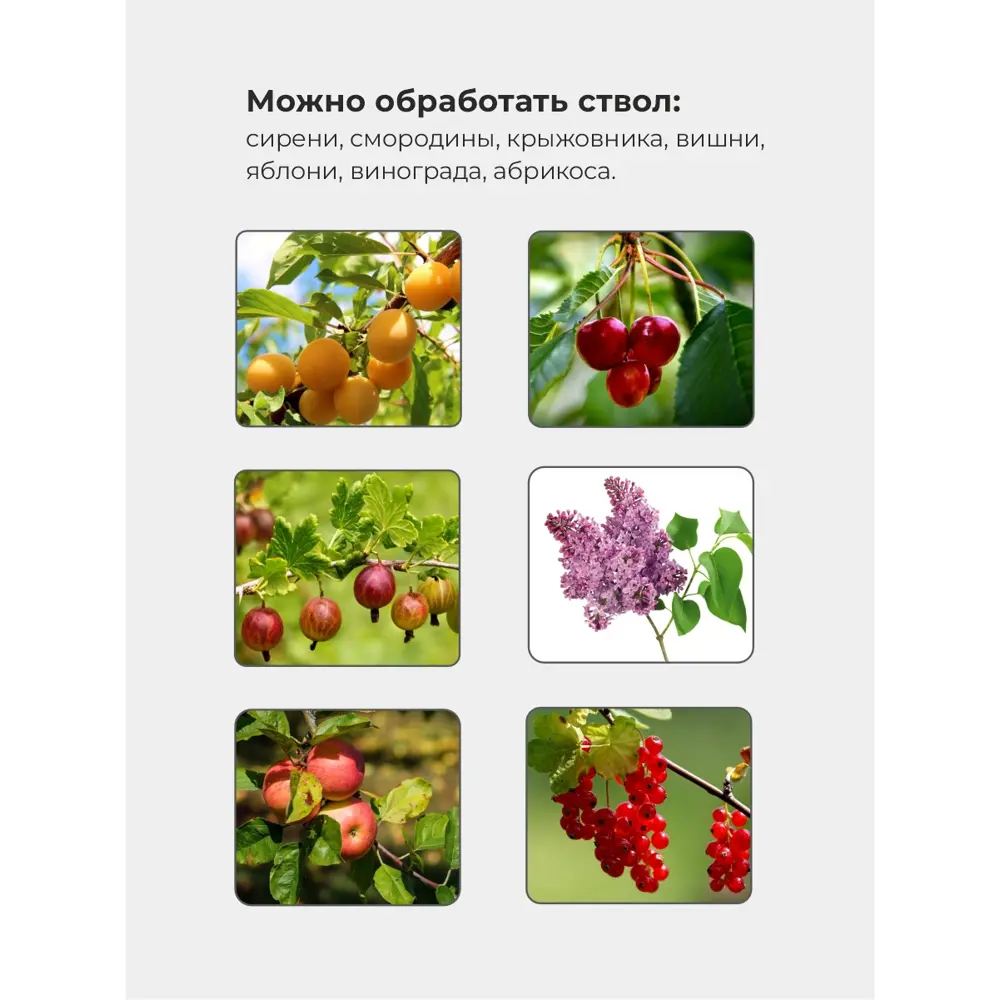 Фото 7 Краска садовый лекарь Доброцвет 881890 цвет белый 1.3 л Фото 7 Краска садовый лекарь Доброцвет 881890 цвет белый 1.3 л