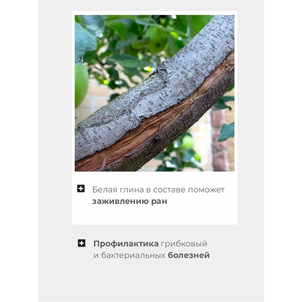 Фото 4 Краска садовый лекарь Доброцвет 881891 цвет белый 2.5 л Фото 4 Краска садовый лекарь Доброцвет 881891 цвет белый 2.5 л