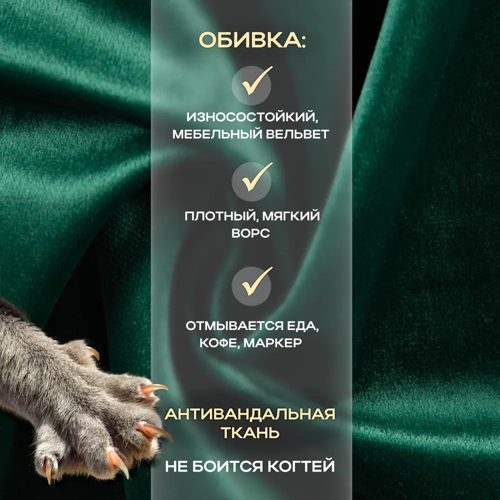 Фото 6 Кухонный стул Ami Стул босс зеленый (2 шт.) 53.5x78.5x56 см фанера цвет зеленый Фото 6 Кухонный стул Ami Стул босс зеленый (2 шт.) 53.5x78.5x56 см фанера цвет зеленый