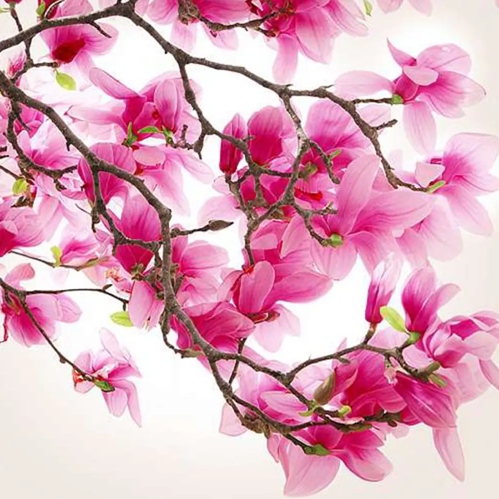 Фото Фотообои Divino Decor Магнолия C-148 300x270 см Фото Фотообои Divino Decor Магнолия C-148 300x270 см