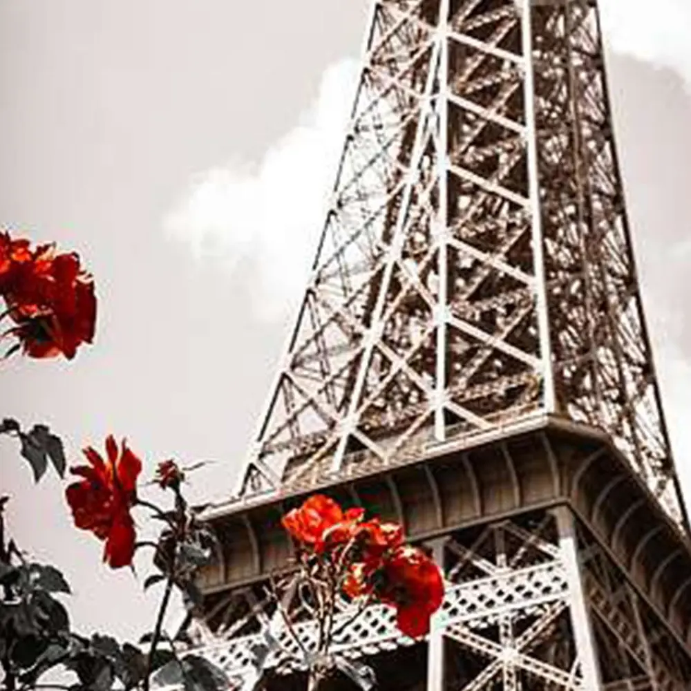 Фото Фотообои Divino Decor Весна в Париже A-085 100x270 см Фото Фотообои Divino Decor Весна в Париже A-085 100x270 см