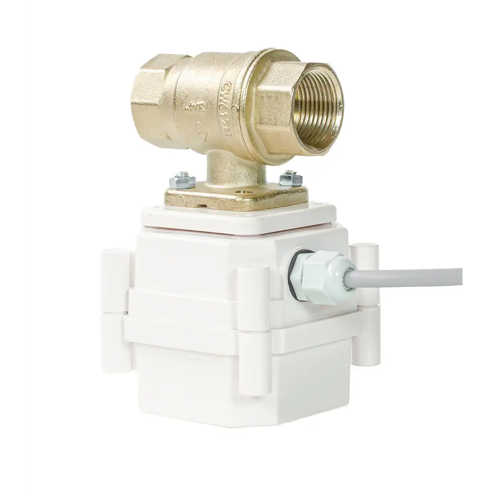 Фото Шаровый электропривод Gidrolock Ultimate 12V Bugatti 1" цвет белый Фото Шаровый электропривод Gidrolock Ultimate 12V Bugatti 1" цвет белый