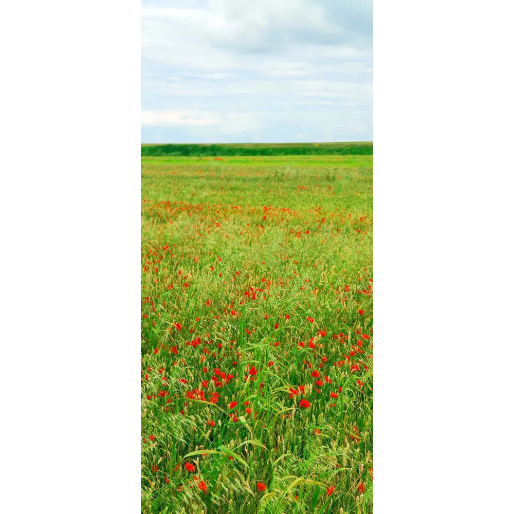 Фото Наклейка для дверей и мебели Wallfix "Маковое поле" W164, 95x220 см Фото Наклейка для дверей и мебели Wallfix "Маковое поле" W164, 95x220 см