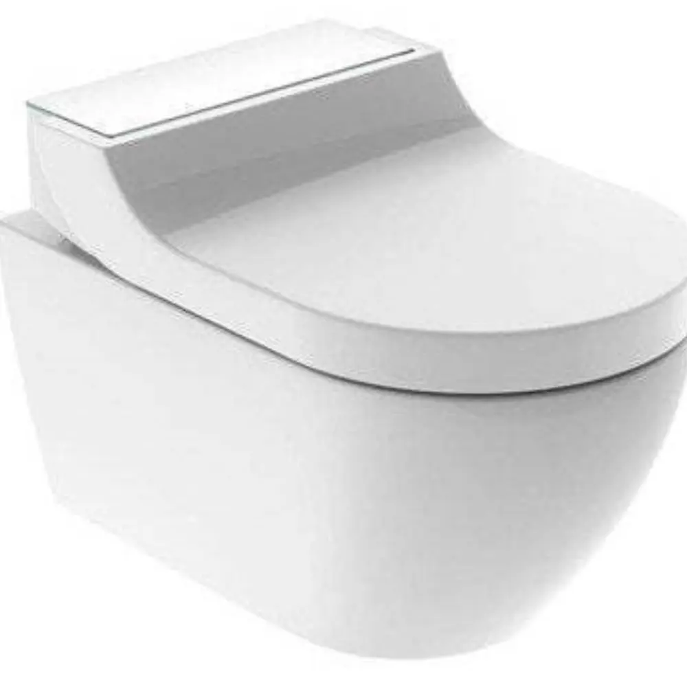 Фото Унитаз подвесной Geberit AquaClean146 294 SI 1 безободковый Фото Унитаз подвесной Geberit AquaClean146 294 SI 1 безободковый