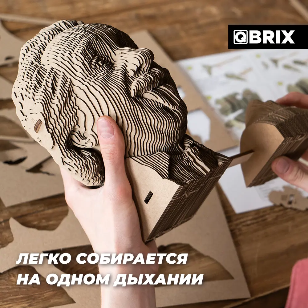 Фото 6 Картонный 3D конструктор Qbrix Эйнштейн 20.4x12.2 см Фото 6 Картонный 3D конструктор Qbrix Эйнштейн 20.4x12.2 см