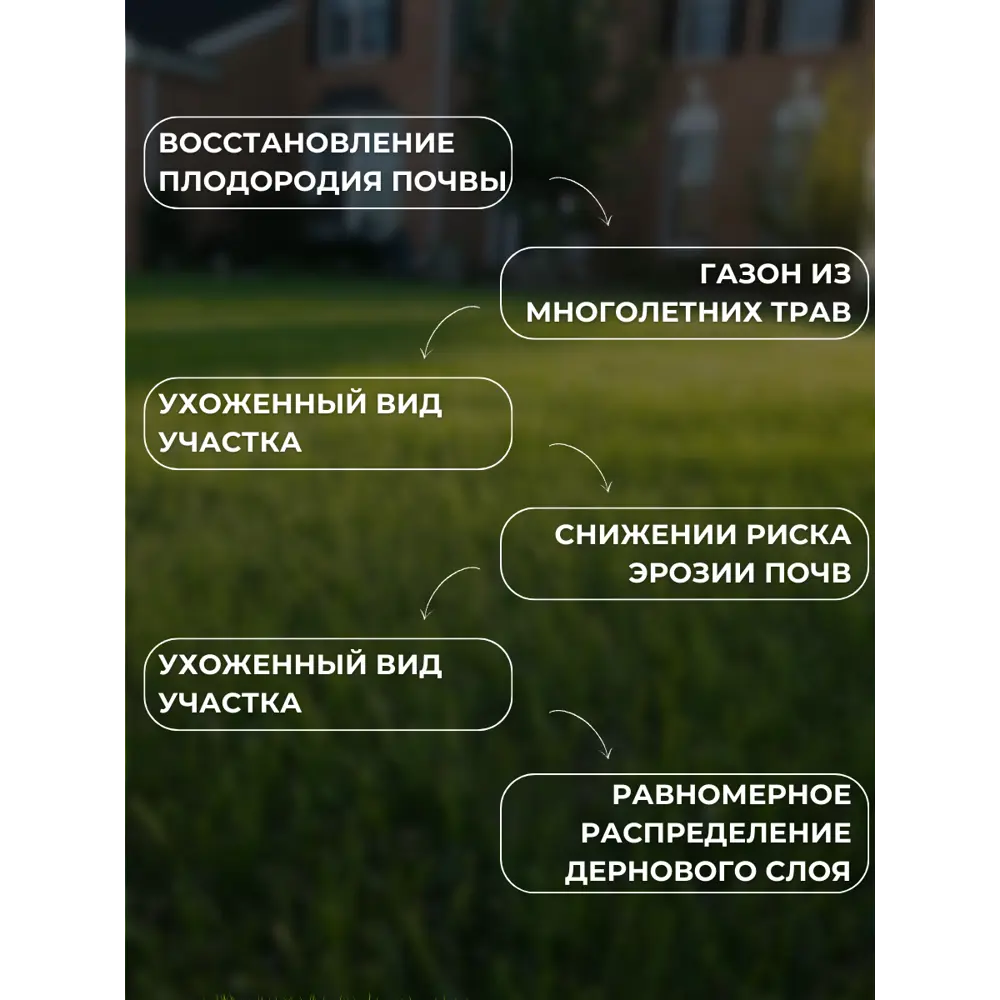Фото 4 Семена газонных трав Зеленый метр Экологичная 20 кг Фото 4 Семена газонных трав Зеленый метр Экологичная 20 кг