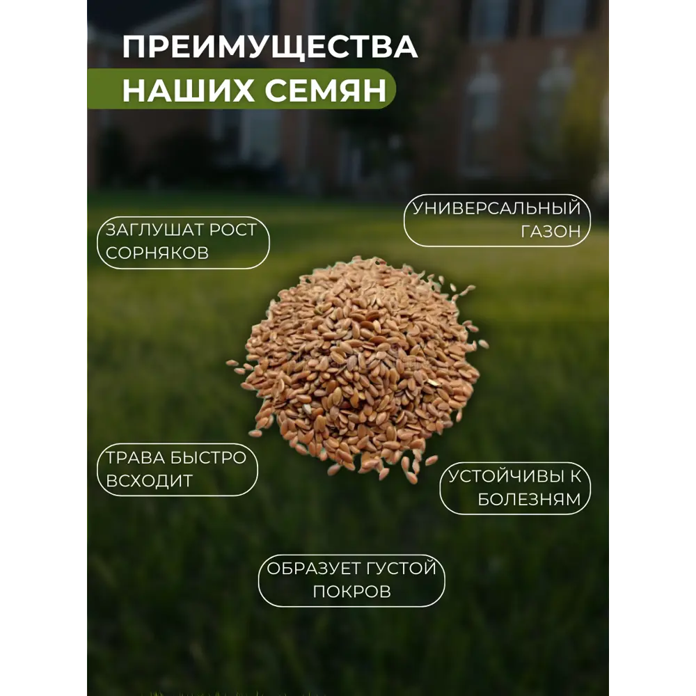 Фото 2 Семена газонных трав Зеленый метр Экологичная 20 кг Фото 2 Семена газонных трав Зеленый метр Экологичная 20 кг