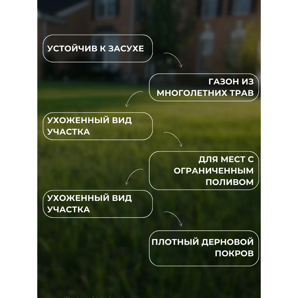 Фото 6 Смесь газонных семян Зеленый метр Южный 3кг Фото 6 Смесь газонных семян Зеленый метр Южный 3кг