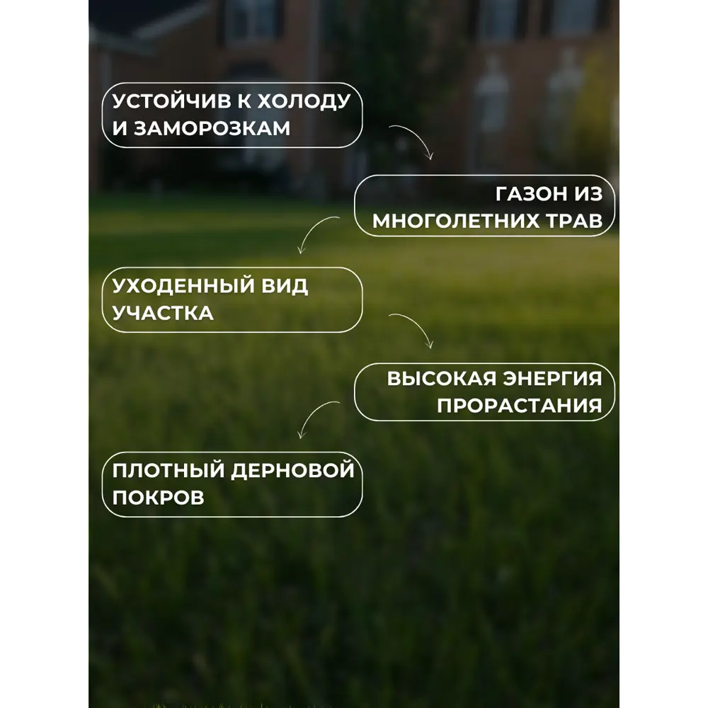 Фото 7 Смесь газонных семян Зеленый метр Север 3кг Фото 7 Смесь газонных семян Зеленый метр Север 3кг
