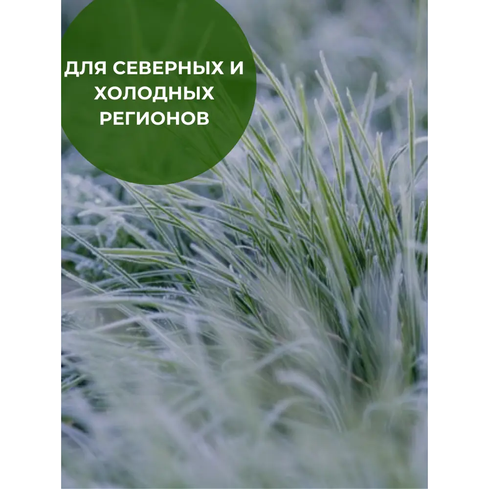 Фото 4 Смесь газонных семян Зеленый метр Север 5кг Фото 4 Смесь газонных семян Зеленый метр Север 5кг