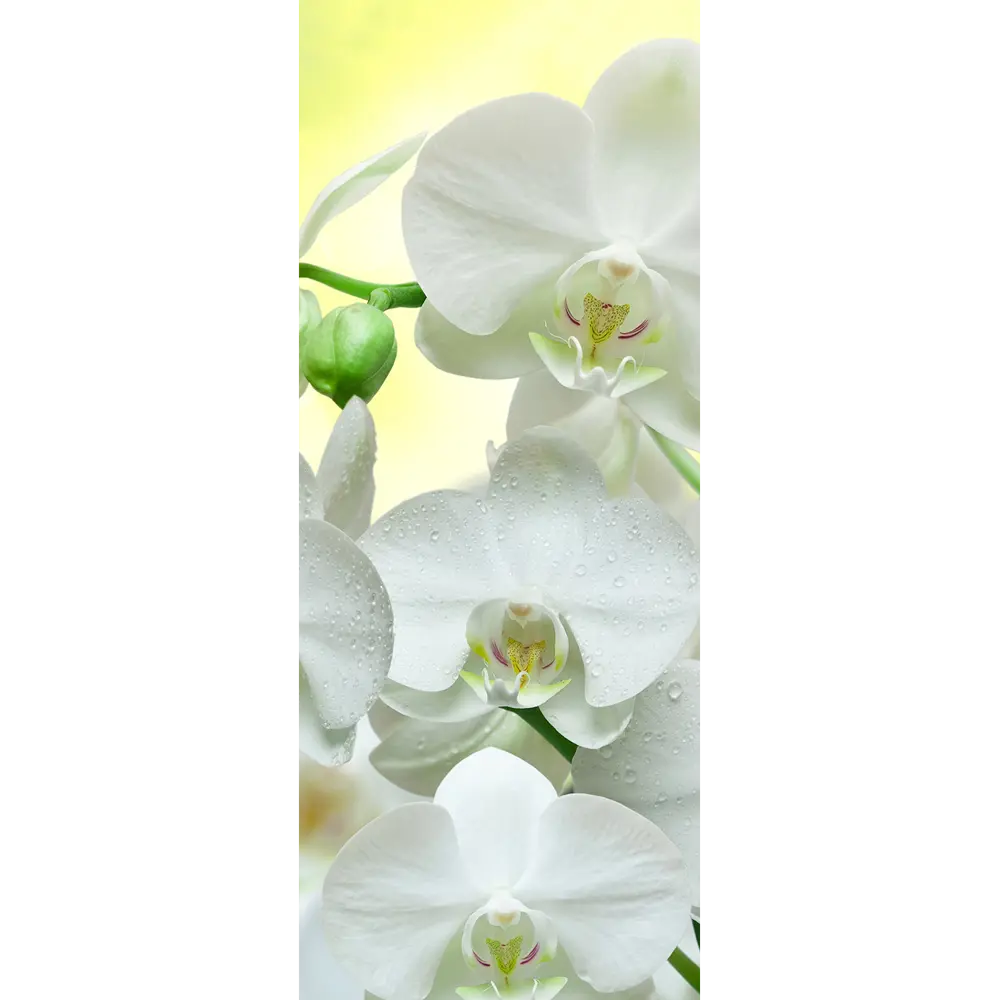 Фото Штора рулонная Divino мини MRB-0211 -4 ткань лён размер 66, 62x170