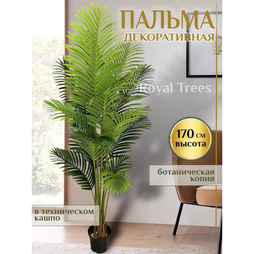 Фото Искусственная пальма 164233958 170 см латекс зеленый Фото Искусственная пальма 164233958 170 см латекс зеленый