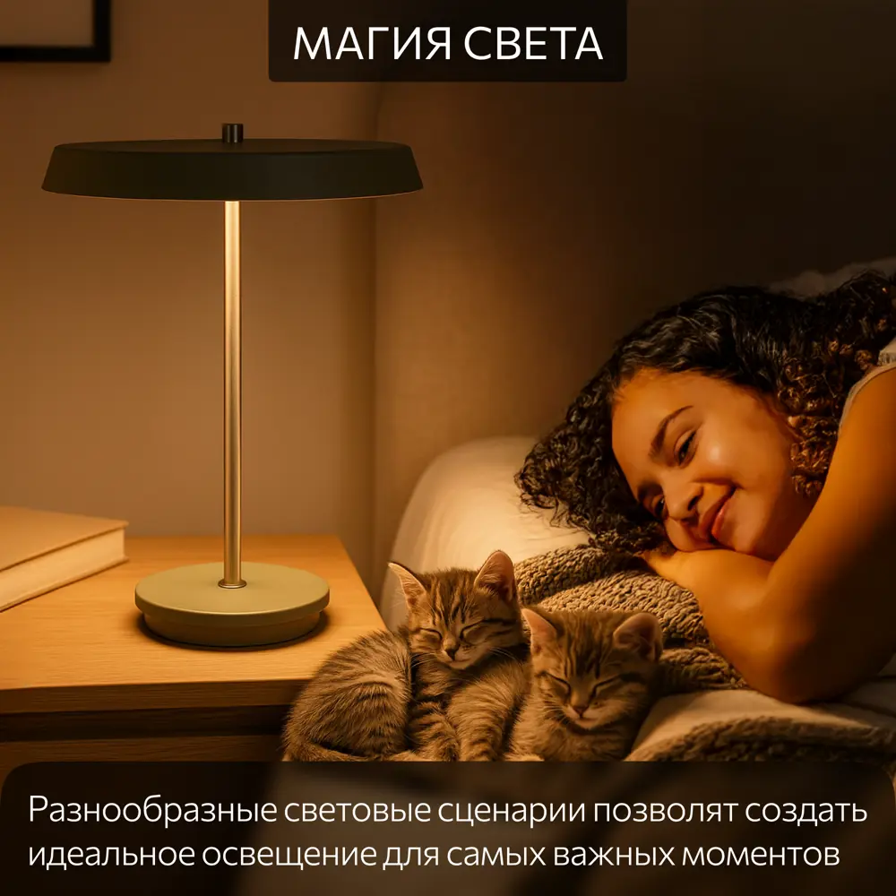 Фото 2 Настольная лампа с диммером Citilux LINA CL812012 LED Серая Фото 2 Настольная лампа с диммером Citilux LINA CL812012 LED Серая