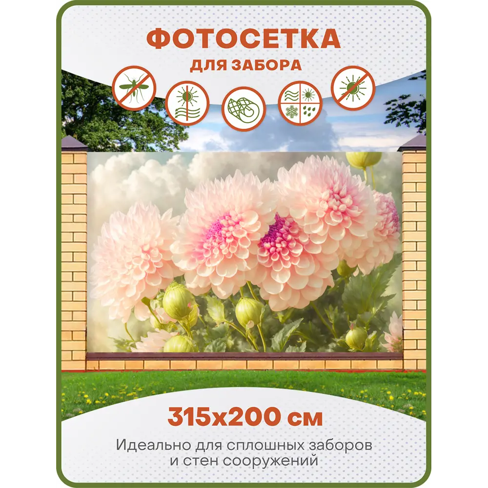 Фото Фотосетка Art ФС264 Георгины 315x200см Фото Фотосетка Art ФС264 Георгины 315x200см