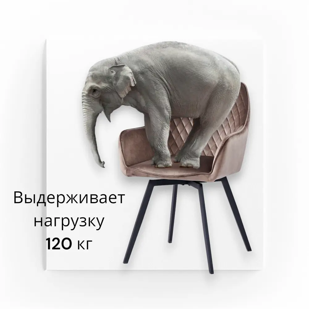 Фото 5 Стул / кресло Weimei Dc79001r 56x86x60 см велюр цвет какао Фото 5 Стул / кресло Weimei Dc79001r 56x86x60 см велюр цвет какао