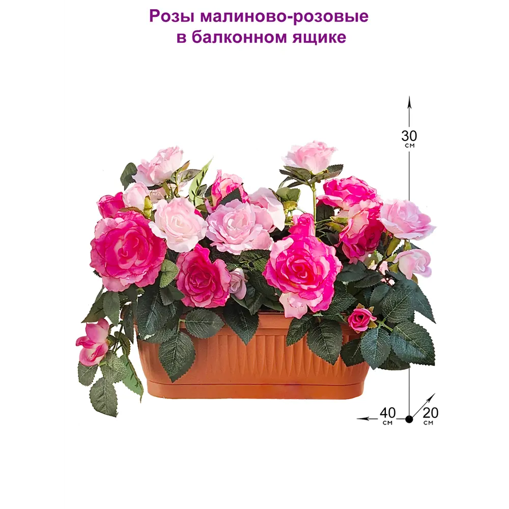 Фото Искусственное растение Роза Фитопарк РозыМалинРозБалкЯщКор Фото Искусственное растение Роза Фитопарк РозыМалинРозБалкЯщКор