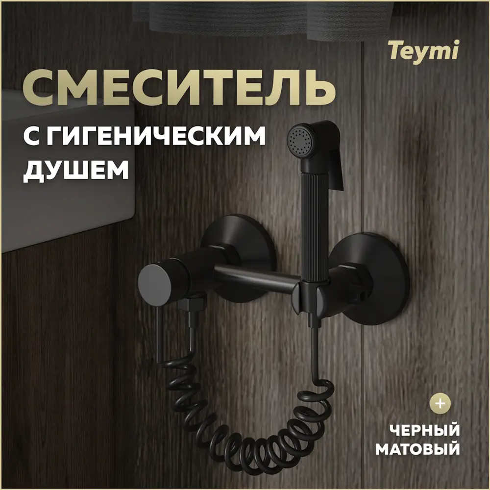 Фото Смеситель с гигиеническим душем Teymi Martta T10269 цвет черный матовый