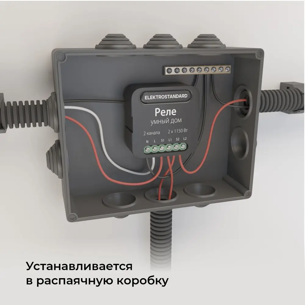 Фото 20 Умное двухканальное реле Elektrostandard 76007/00 цвет черный Фото 20 Умное двухканальное реле Elektrostandard 76007/00 цвет черный