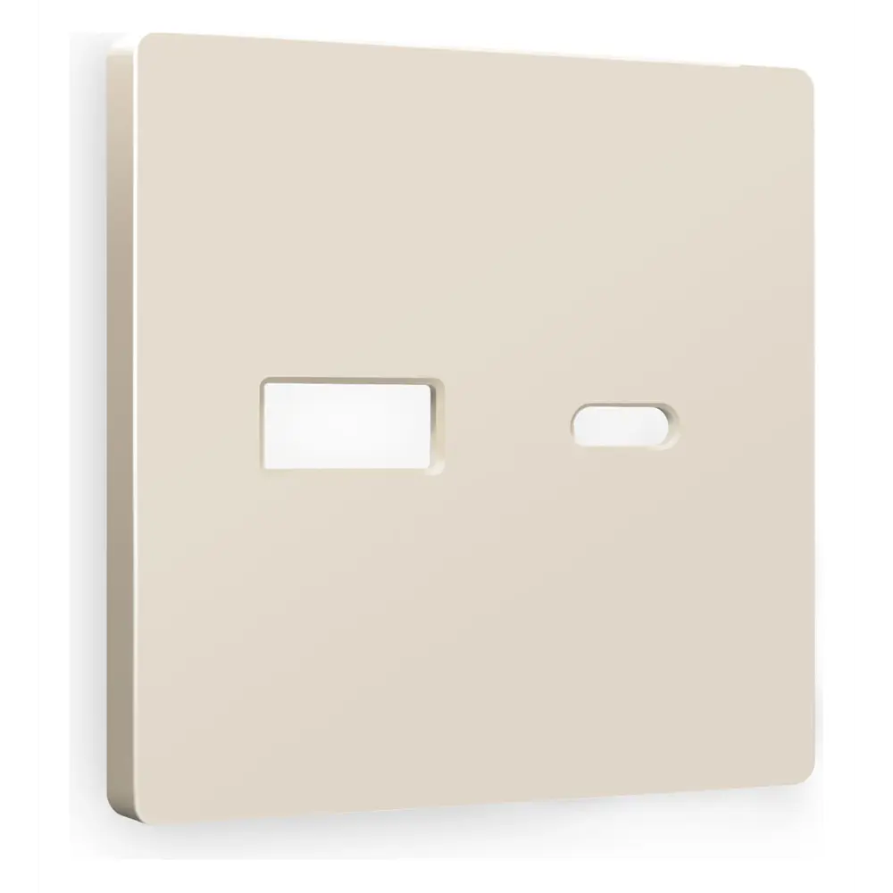 Фото Накладка для розетки 2USB A+C Ambrella volt Alfa AP3310 цвет бежевый матовый Фото Накладка для розетки 2USB A+C Ambrella volt Alfa AP3310 цвет бежевый матовый