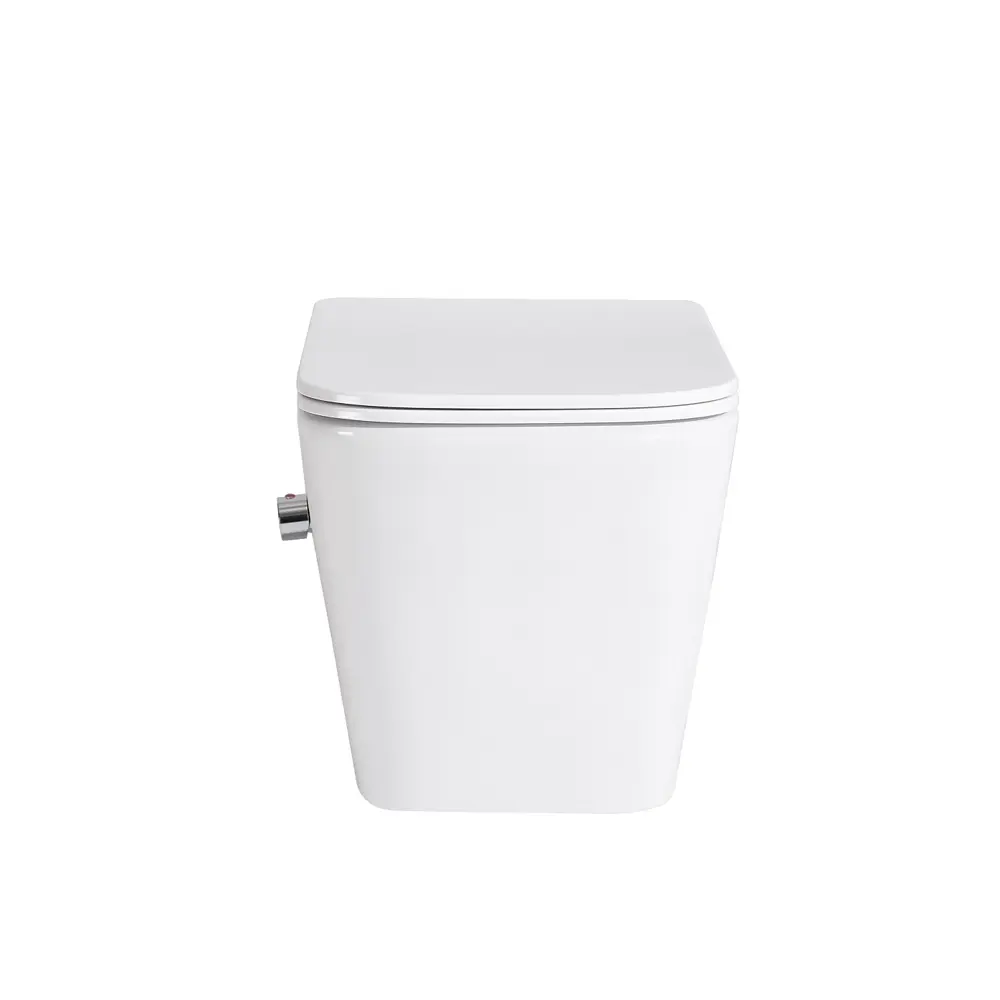 Фото 10 Унитаз подвесной Belbagno BB3103CHR-BS/SC безободковый с сиденьем микролифт